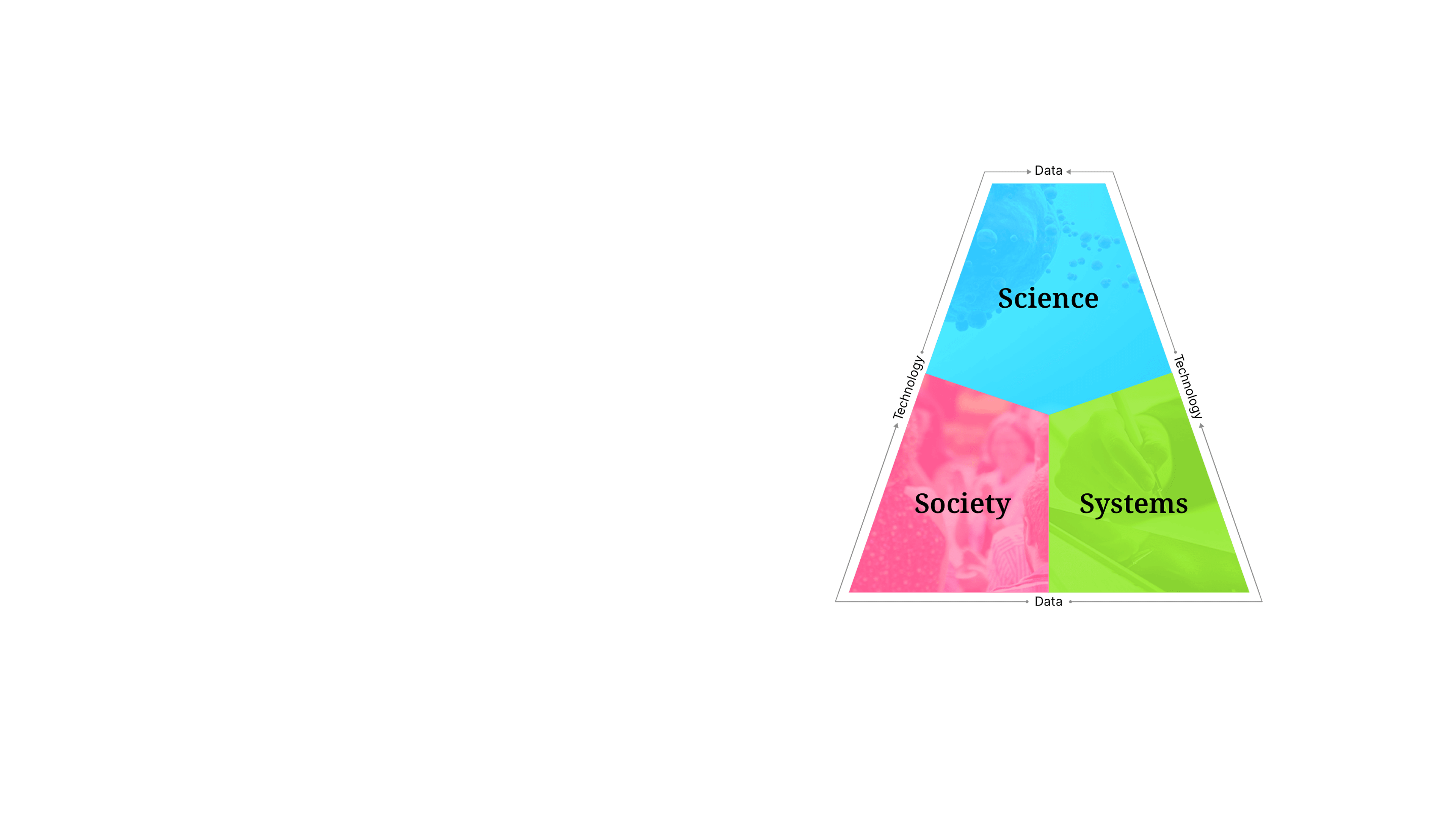 SenseMaking approach Triangle